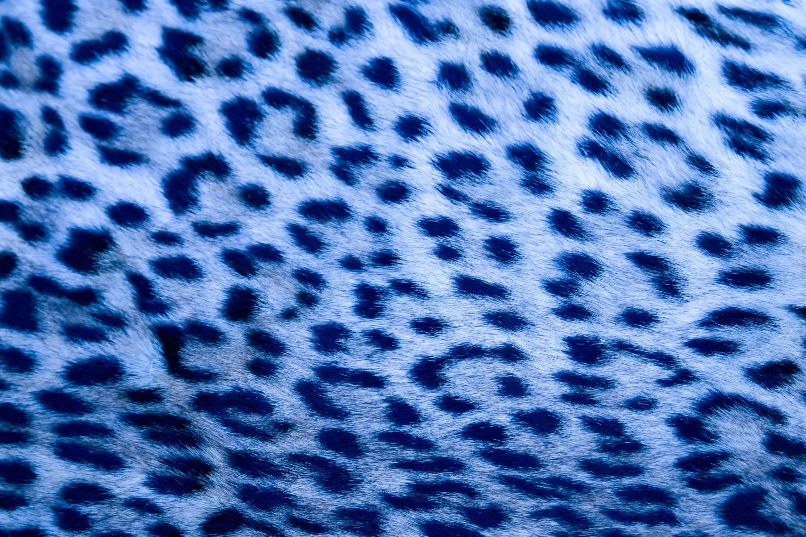 Zoology and Plant Science